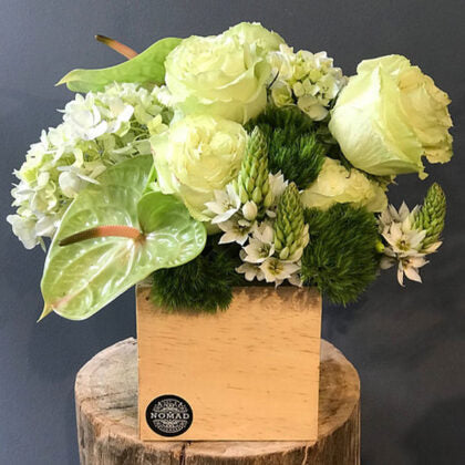 GREEN LOVE, ARREGLO FLORAL